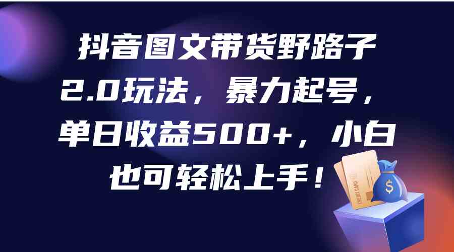 （9790期）抖音图文带货野路子2.0玩法，暴力起号，单日收益500+，小白也可轻松上手！-红果网创