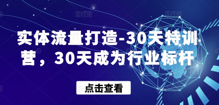 实体流量打造-30天特训营，30天成为行业标杆-红果网创