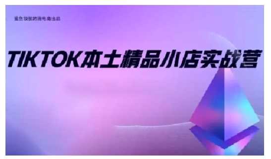 TikTok本土精品小店出海实战营，从入门到高阶，不止0-1!-红果网创