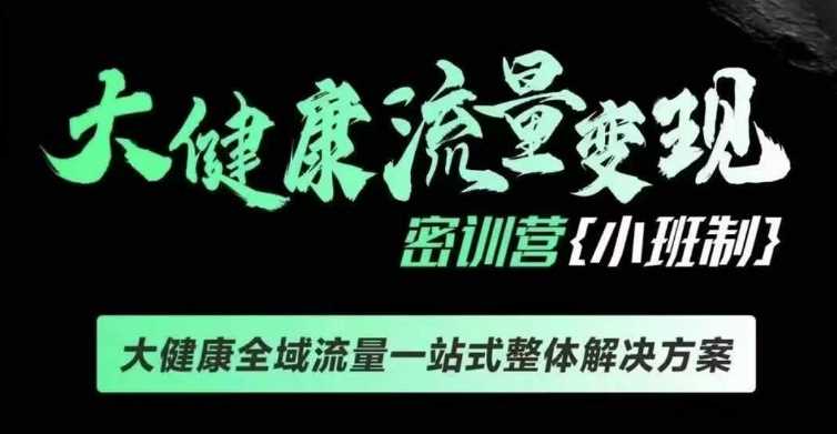 千万级大健康变现课线下课，大健康全域流量一站式整体解决方案-红果网创