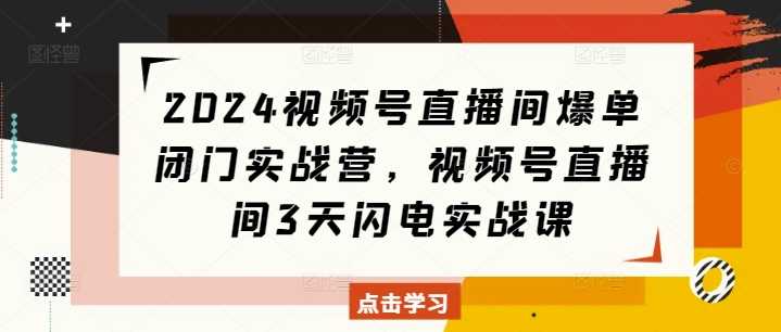 2024视频号直播间爆单闭门实战营，视频号直播间3天闪电实战课-红果网创